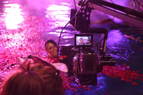 VIBE-VIxen-And-Action-600x399