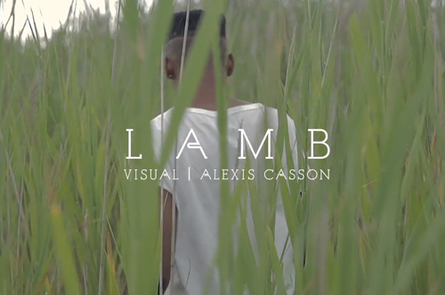 Siaira-Shawn-Lamb-Video