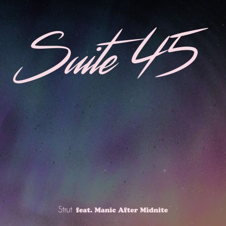 Suite45-Strut