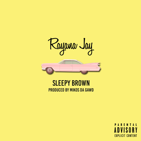 sleepybrownfinalartwork